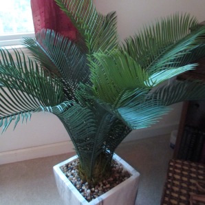 Palm Tree 8