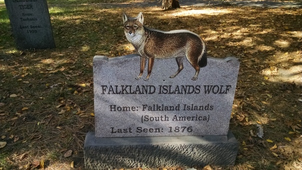 Extinct Species 6 - Falkland Islands Wolf