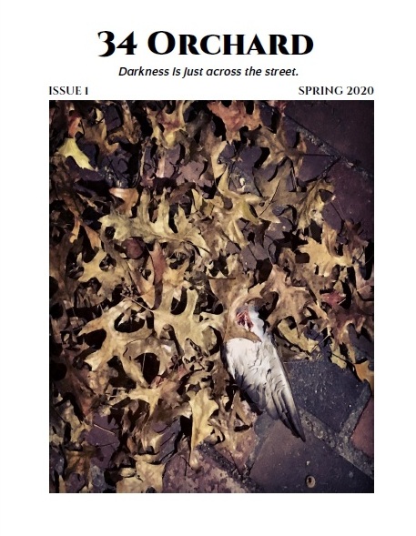 JPEG OF 34 ORCHARD ISSUE 1 COVER